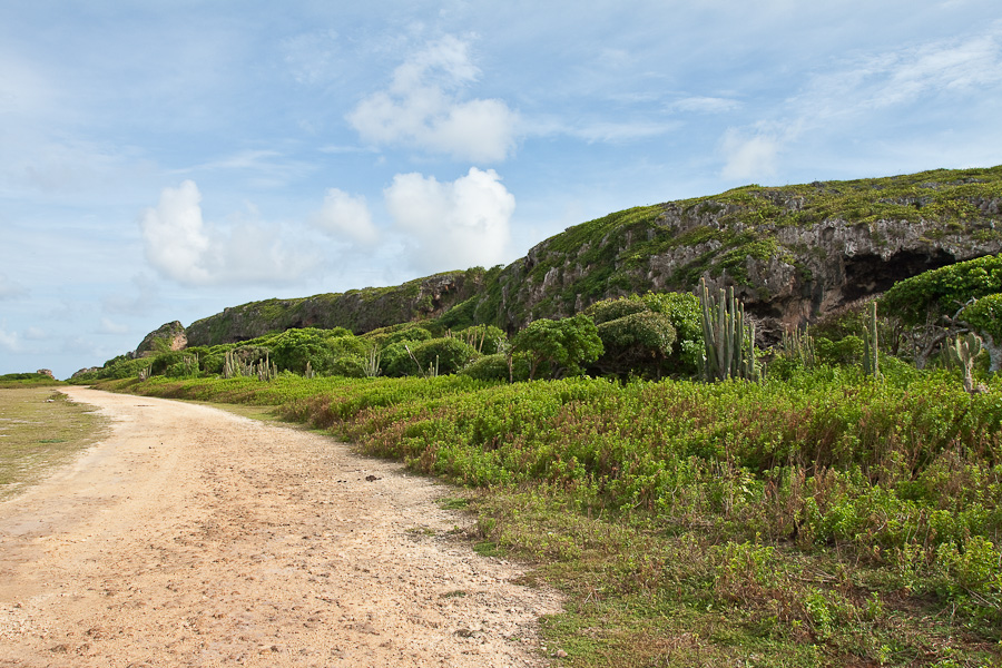 Грунтовая дорога вокруг острова Барбуда и коралловые утёсы, Антигуа и Барбуда. A dirt road around the island of Barbuda and coral cliffs, Antigua and Barbuda, Caribbean. 