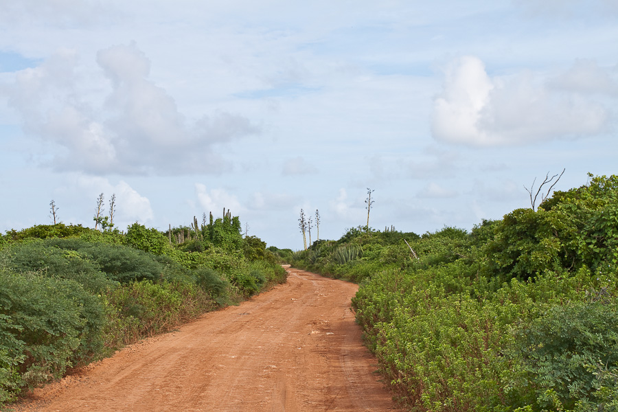 Грунтовая дорога вокруг острова Барбуда, Антигуа и Барбуда. A dirt road around the island of Barbuda, Antigua and Barbuda, Caribbean. 