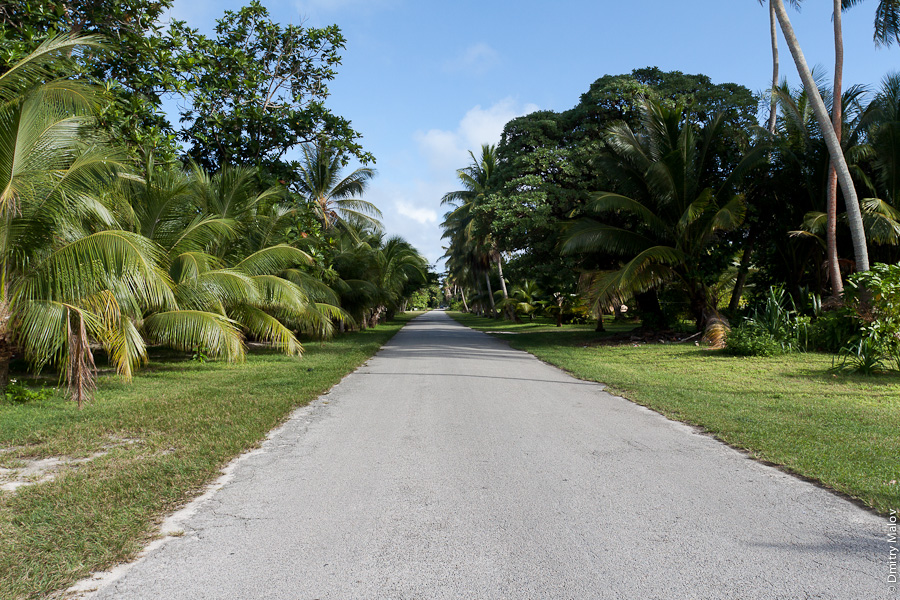 Дорога, пальмы. Маршалловы острова, атолл Маджуро. Road and palms. Marshall Islands, Majuro Atoll.