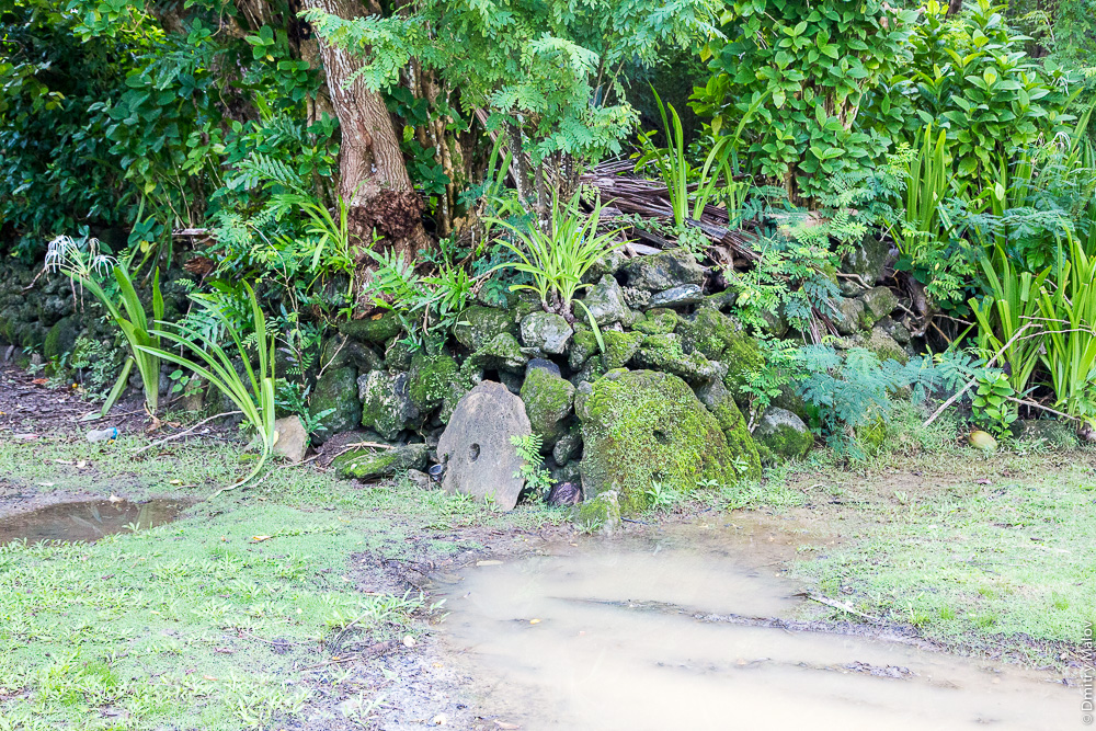 Two stone coins rai by the road in jungle, Yap Island, Caroline Islands, Federated States of Micronesia. Две гигантские каменные монеты раи в дужнгях острова Яп, Каролинские острова, Федеративные Штаты Микронезии