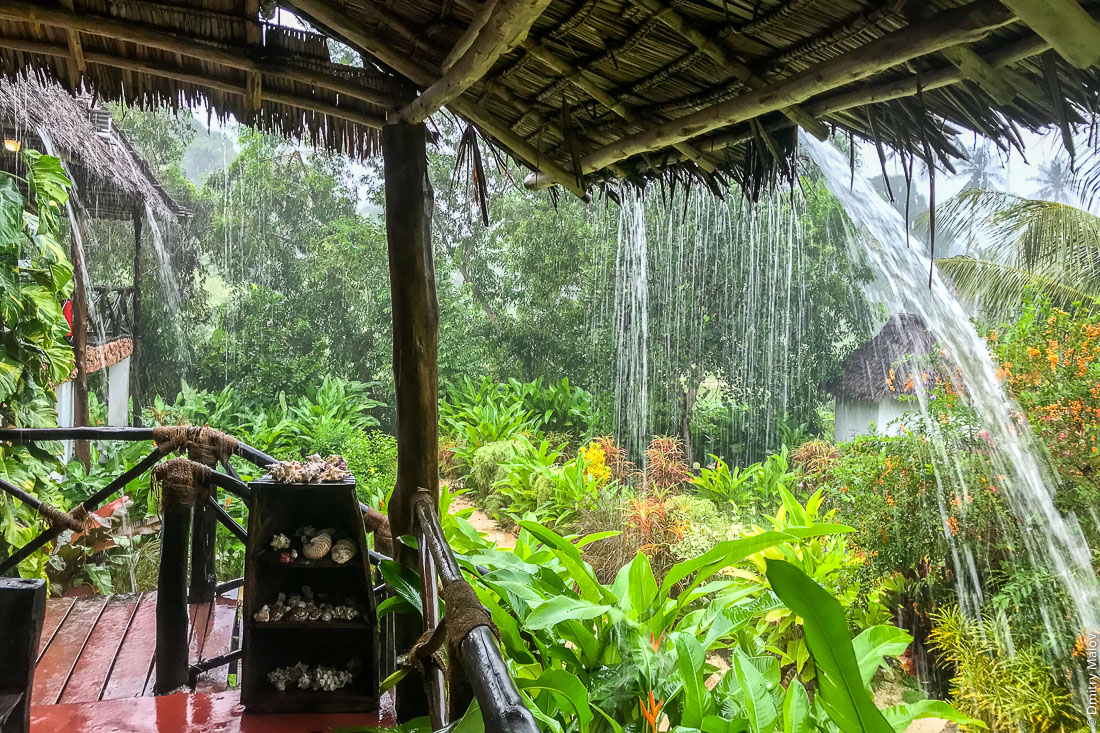Вода раучьями с крыш. Под проливным дождём, Кизунгу, остров Пемба, Танзания. Inside Emerald Bay Resort under heavy shower rain, Emerald Bay Resort, Kizungu, Pemba, Tanzania