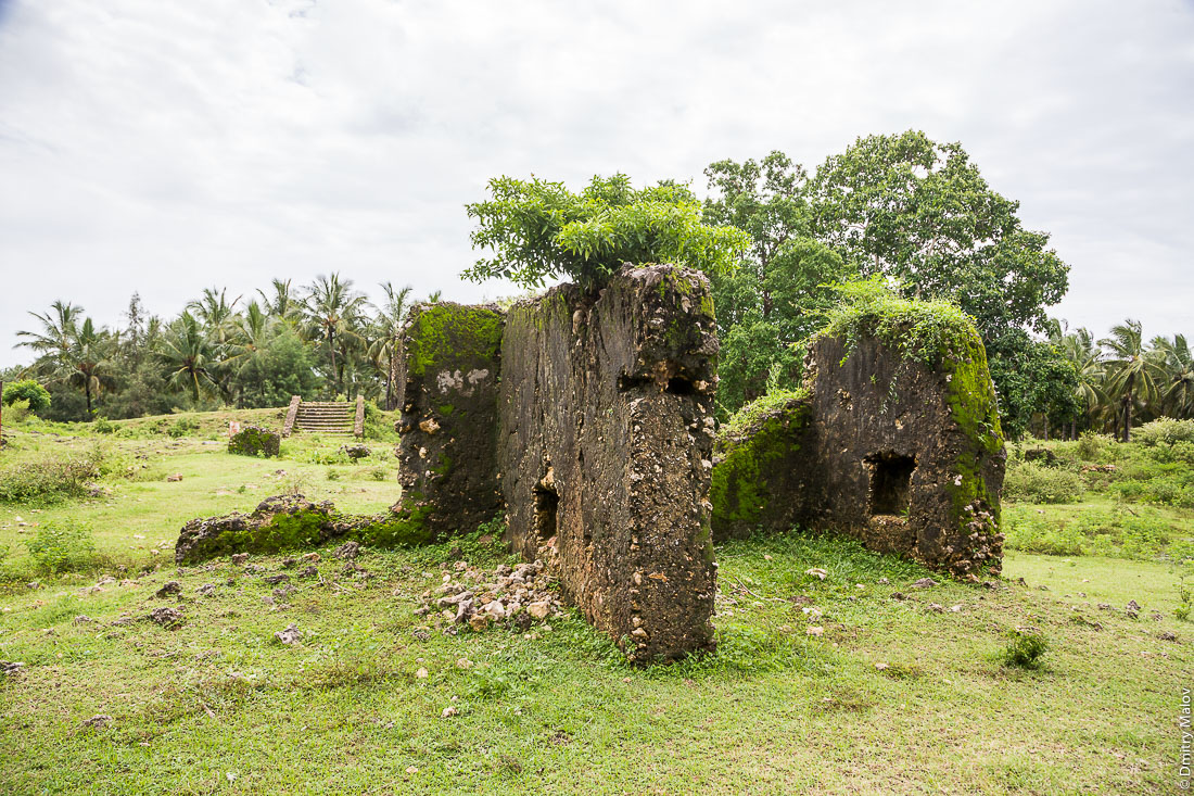 Руины, остров Пемба, Занзибар, Танзания. Mkame Ndume (Pujini) Ruins, Pemba island, Zanzibar, Tanzania