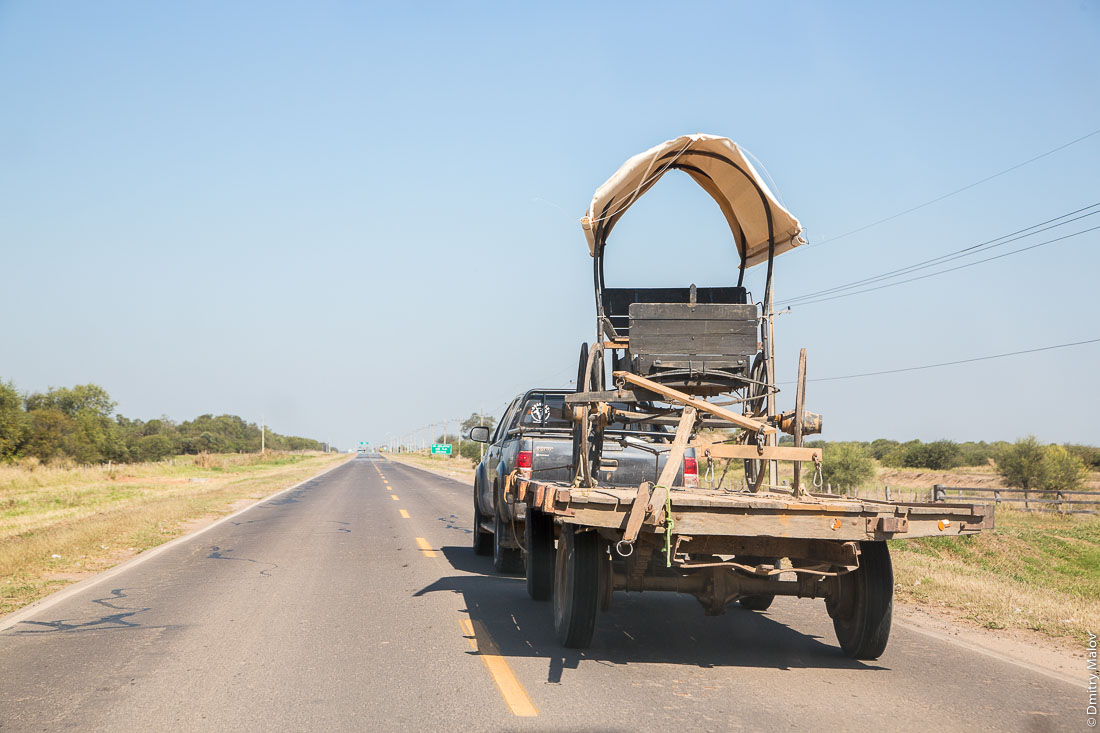 Пикап везёт карету на прицепе, Лома-Плата, Гран-Чако, Парагвай. Pickup truck with carriage on a trailer, Loma Plata, Gran Chaco, Paraguay