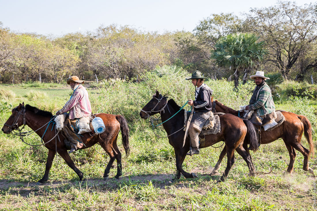 Три индейца скачут на лошадях вдоль дороги№9 Рута Трансчако, Гран-Чако, Парагвай. Three Native Americans are running horses along the road number 9 Ruta Transchaco, Gran Chaco, Paraguay.