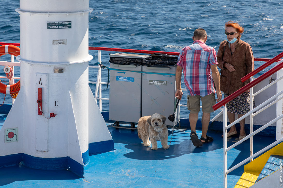 Good dog on board of Ichnusa BluNavy ferry from Corsica to Sardinia