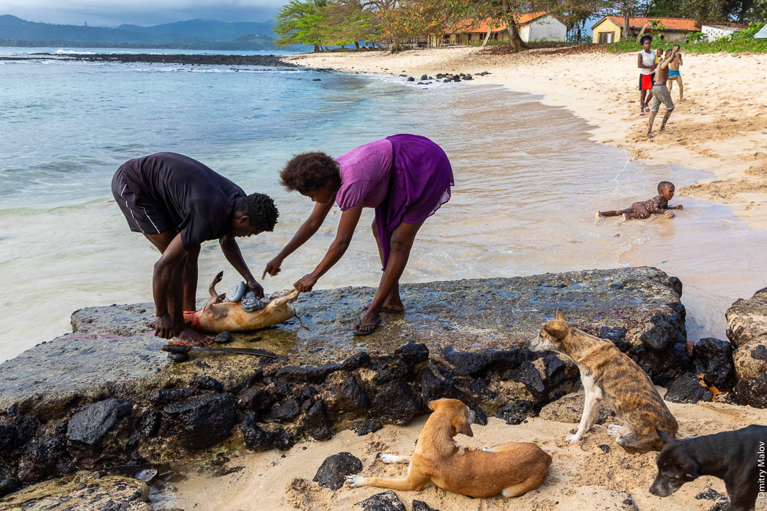 Разделывают свинью на пирсе в дервне не замле, остров Ролаш, Сан-Томе и Принсипи, Африка