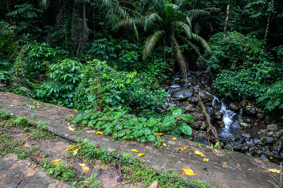узкоколейка в джунглях, Roça do Lucindo, остров Принсипи, Сан-Томе и Принсипи