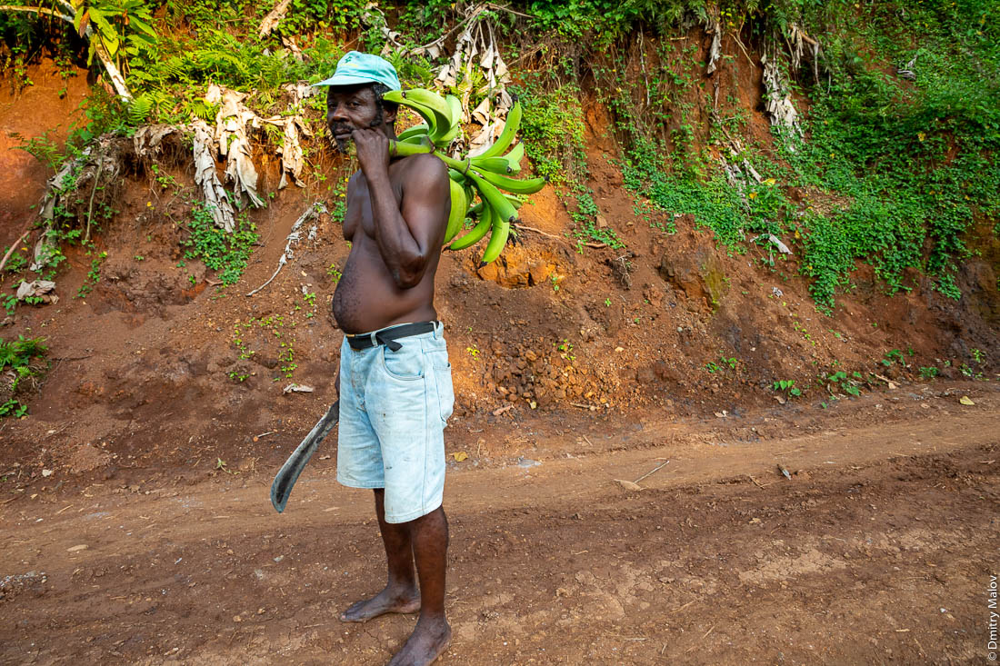 Африканец, негр, черный мужчина со гроздью бананов и мачете, остров Принсипи, Сан-Томе и Принсипи, Африка